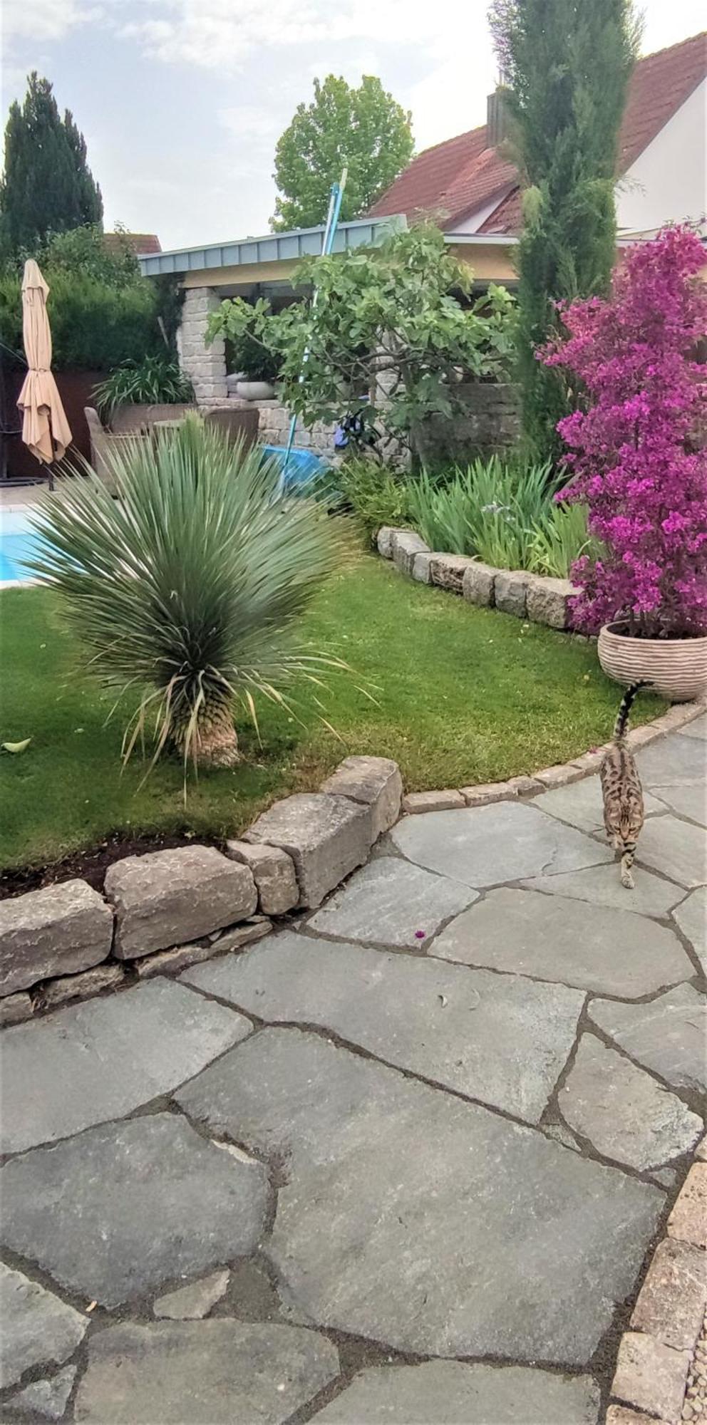 Апартаменты Bel Giardino Фридрихсхафен Экстерьер фото